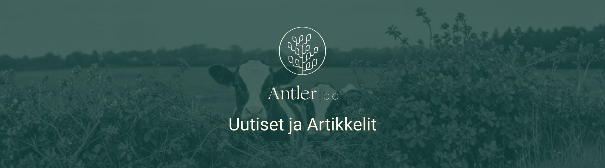 uutiset ja artikkelit
